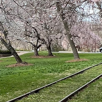 Wilmington Park