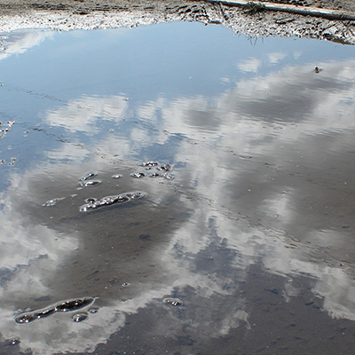 Reflection